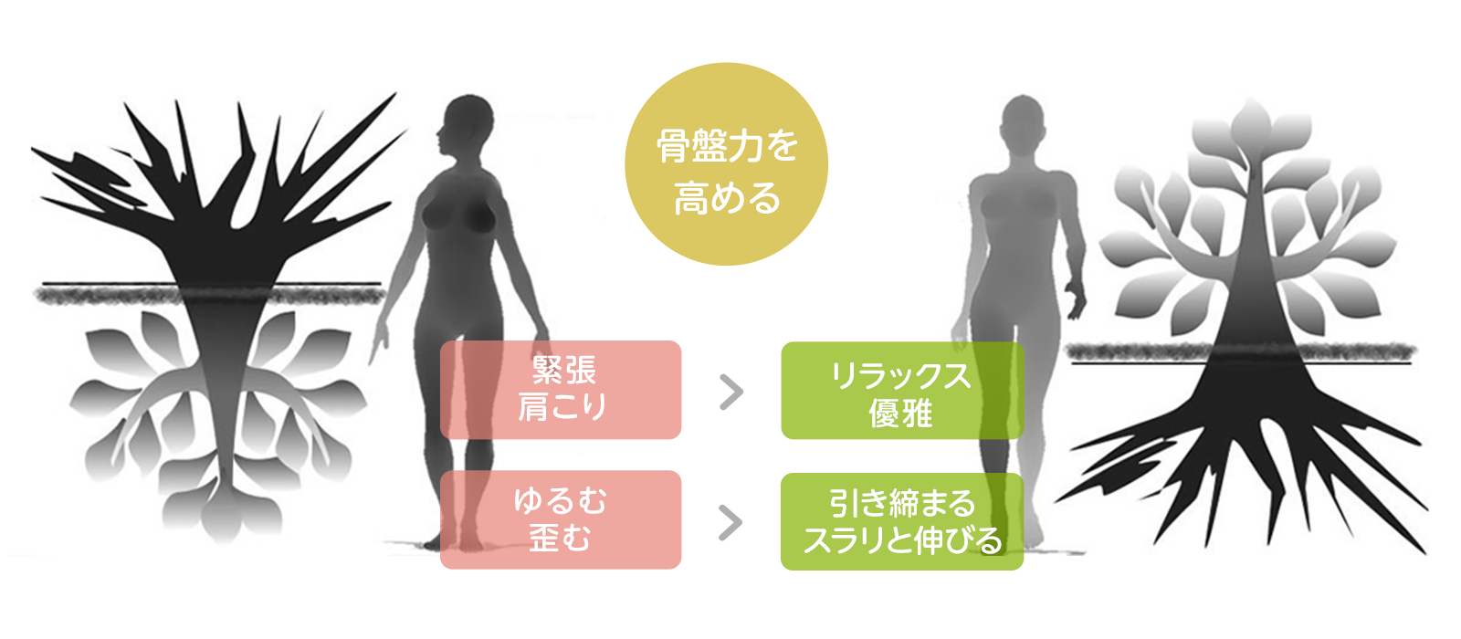 「骨盤力」を高めると、心の働き・内臓の働きまで良くなり、健康美が身につきます